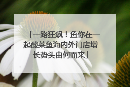 一路狂飙！鱼你在一起酸菜鱼海内外门店增长势头由何而来