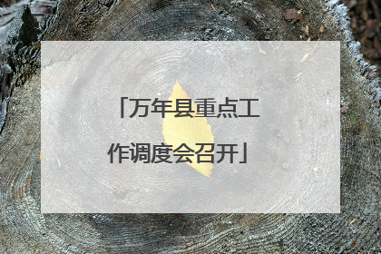万年县重点工作调度会召开
