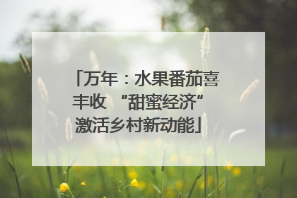 万年：水果番茄喜丰收 “甜蜜经济”激活乡村新动能