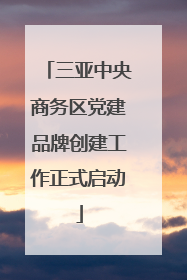 三亚中央商务区党建品牌创建工作正式启动
