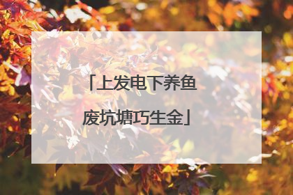 上发电下养鱼 废坑塘巧生金