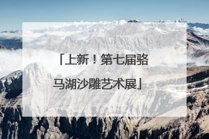 上新！第七届骆马湖沙雕艺术展