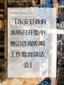 东安县政府系统召开集中整治违规吃喝工作监督谈话会