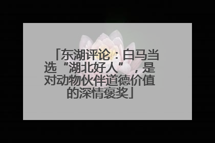 东湖评论：白马当选“湖北好人”，是对动物伙伴道德价值的深情褒奖