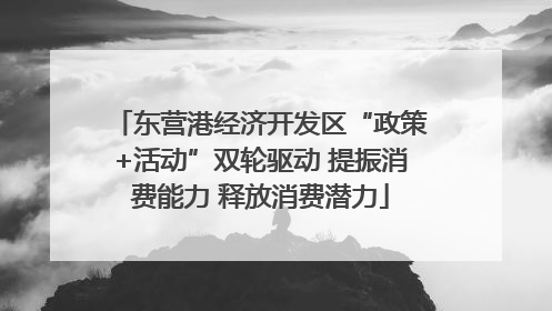 东营港经济开发区“政策+活动”双轮驱动 提振消费能力 释放消费潜力