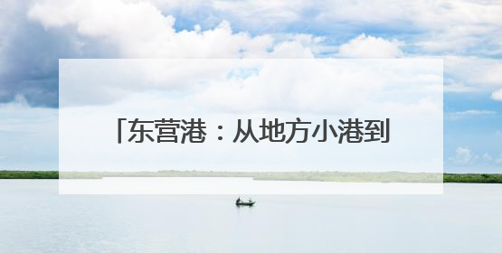 东营港：从地方小港到亿吨大港的跨越发展