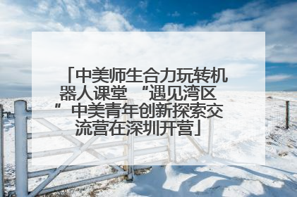 中美师生合力玩转机器人课堂 “遇见湾区”中美青年创新探索交流营在深圳开营