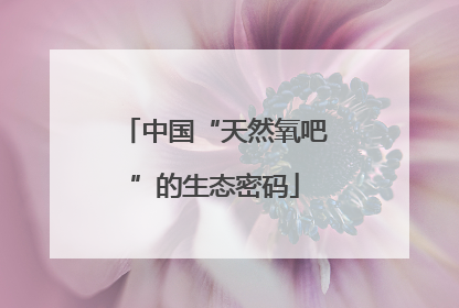 中国“天然氧吧”的生态密码