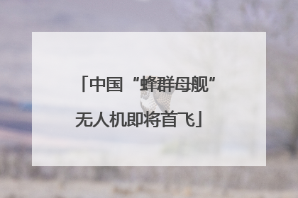 中国“蜂群母舰”无人机即将首飞