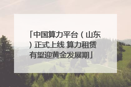 中国算力平台（山东）正式上线 算力租赁有望迎黄金发展期