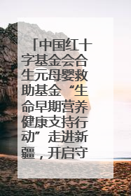 中国红十字基金会合生元母婴救助基金“生命早期营养健康支持行动”走进新疆，开启守护母婴新篇章！