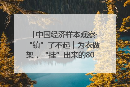 中国经济样本观察·“镇”了不起｜为衣做架，“挂”出来的80亿元“衣架产业”