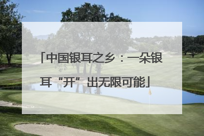 中国银耳之乡：一朵银耳“开”出无限可能