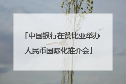 中国银行在赞比亚举办人民币国际化推介会