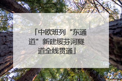 中欧班列“东通道”新建绥芬河隧道全线贯通
