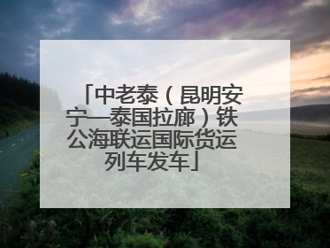 中老泰（昆明安宁—泰国拉廊）铁公海联运国际货运列车发车