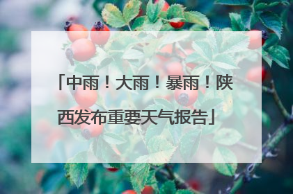 中雨！大雨！暴雨！陕西发布重要天气报告