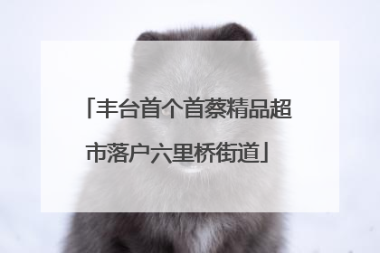 丰台首个首蔡精品超市落户六里桥街道