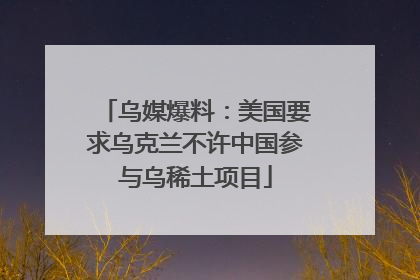 乌媒爆料：美国要求乌克兰不许中国参与乌稀土项目