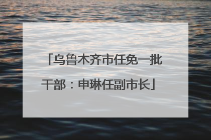乌鲁木齐市任免一批干部：申琳任副市长