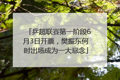乒超联赛第一阶段6月3日开票，樊振东何时出场成为一大悬念