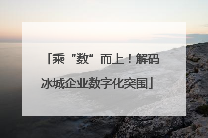 乘“数”而上！解码冰城企业数字化突围