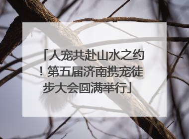 人宠共赴山水之约！第五届济南携宠徒步大会圆满举行