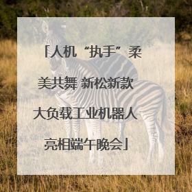 人机“执手”柔美共舞 新松新款大负载工业机器人亮相端午晚会
