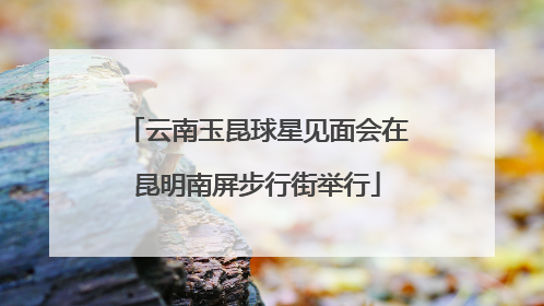 云南玉昆球星见面会在昆明南屏步行街举行