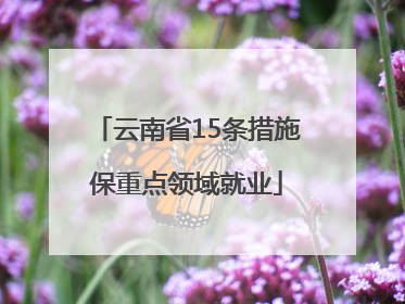 云南省15条措施保重点领域就业