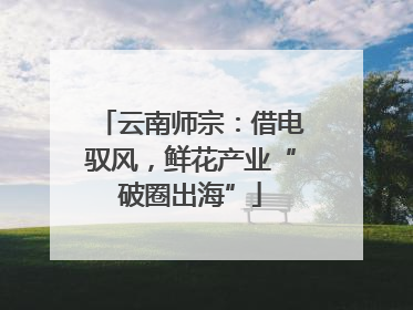 云南师宗：借电驭风，鲜花产业“破圈出海”