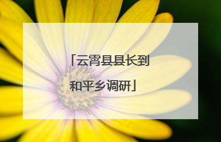 云霄县县长到和平乡调研
