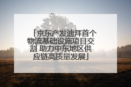京东产发迪拜首个物流基础设施项目交割 助力中东地区供应链高质量发展