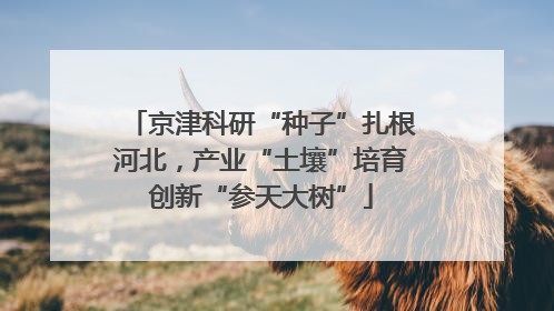 京津科研“种子”扎根河北，产业“土壤”培育创新“参天大树”