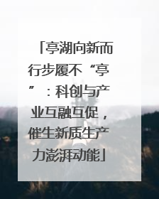 亭湖向新而行步履不“亭”：科创与产业互融互促，催生新质生产力澎湃动能
