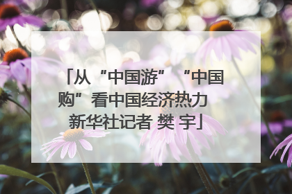 从“中国游”“中国购”看中国经济热力 新华社记者 樊 宇