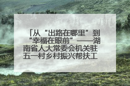 从“出路在哪里”到“幸福在眼前”——湖南省人大常委会机关驻五一村乡村振兴帮扶工作队书写振兴答卷