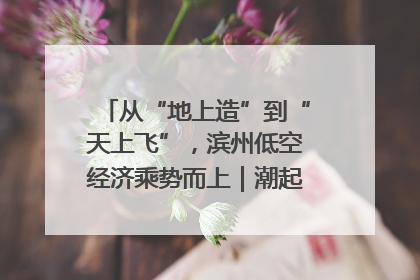 从“地上造”到“天上飞”，滨州低空经济乘势而上｜潮起渤海・网聚黄蓝