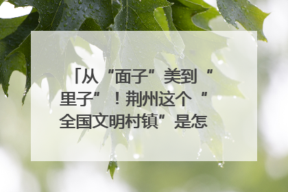 从“面子”美到“里子”！荆州这个“全国文明村镇”是怎样炼成的？