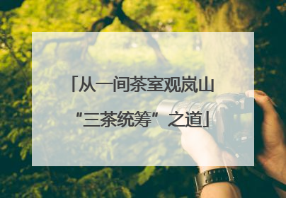 从一间茶室观岚山“三茶统筹”之道