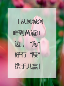 从凤城河畔到黄浦江边，“海”好有“陵”携手共赢