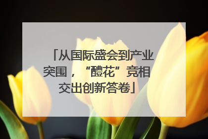从国际盛会到产业突围，“醴花”竞相交出创新答卷