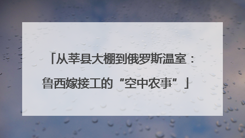 从莘县大棚到俄罗斯温室：鲁西嫁接工的“空中农事”