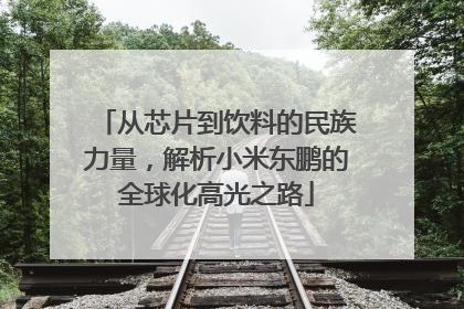 从芯片到饮料的民族力量，解析小米东鹏的全球化高光之路