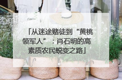 从迷途赌徒到“黄桃领军人”：肖石明的高素质农民蜕变之路