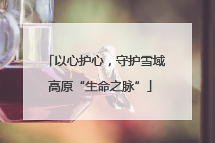 以心护心，守护雪域高原“生命之脉”