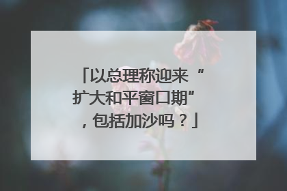 以总理称迎来“扩大和平窗口期”，包括加沙吗？