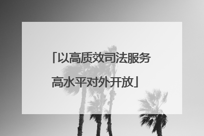 以高质效司法服务高水平对外开放