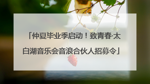 仲夏毕业季启动！致青春·太白湖音乐会音浪合伙人招募令