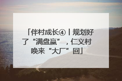 伴村成长④丨规划好了“满盘赢”，仁义村唤来“大厂”回
